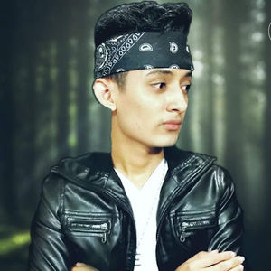 Meet your Posher, Elmer